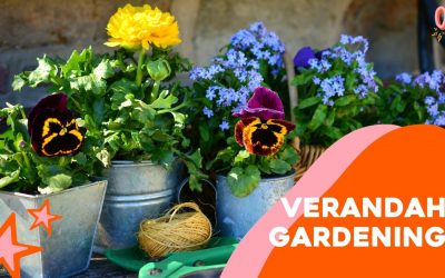 Verandah Gardening with Aruna Pant