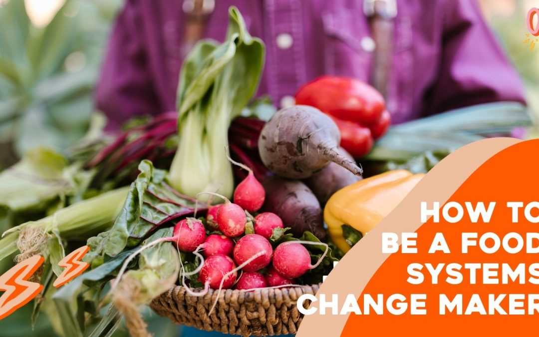 How to be a Food Systems Change Maker with Kylie Newberry